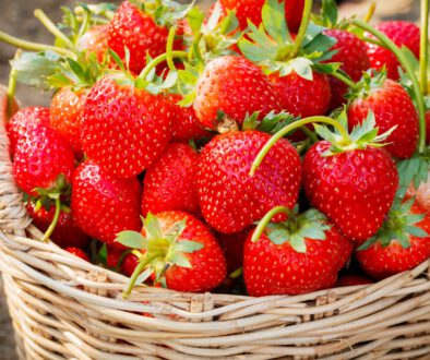 fresh strawberries closeup