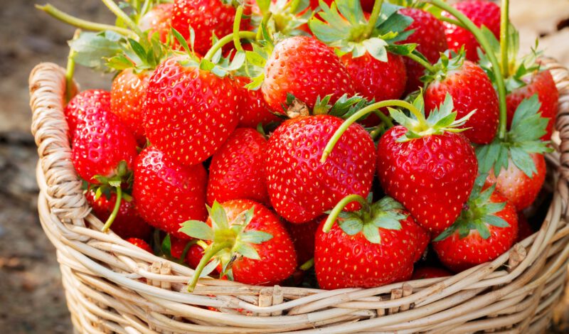 fresh strawberries closeup